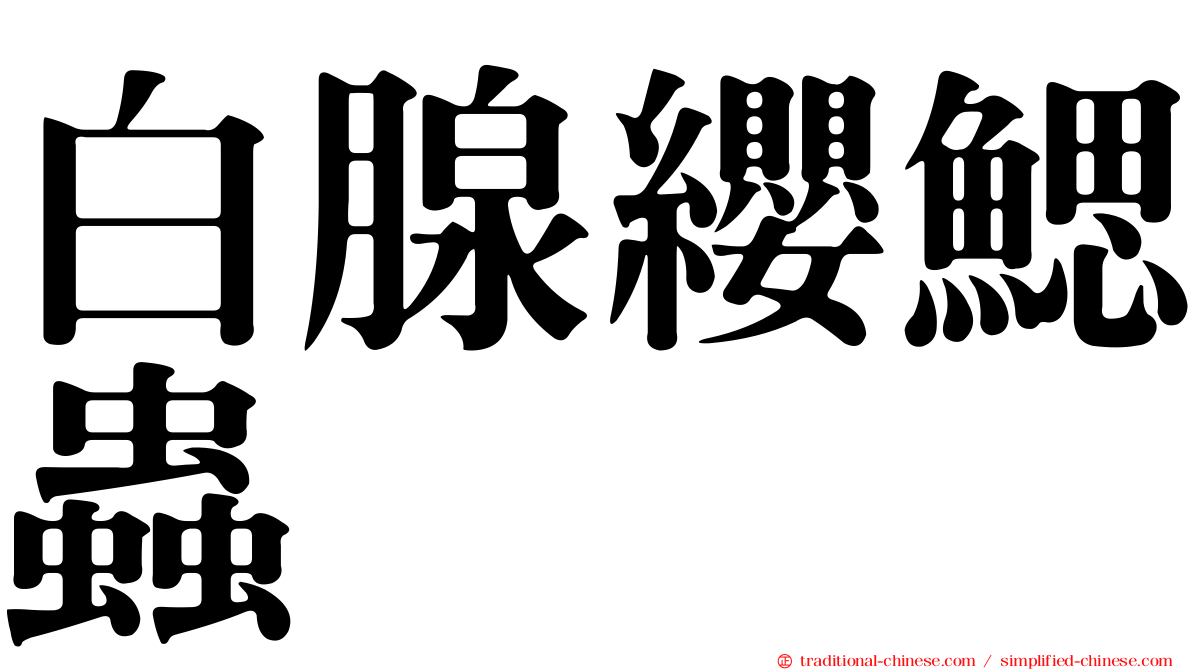 白腺纓鰓蟲