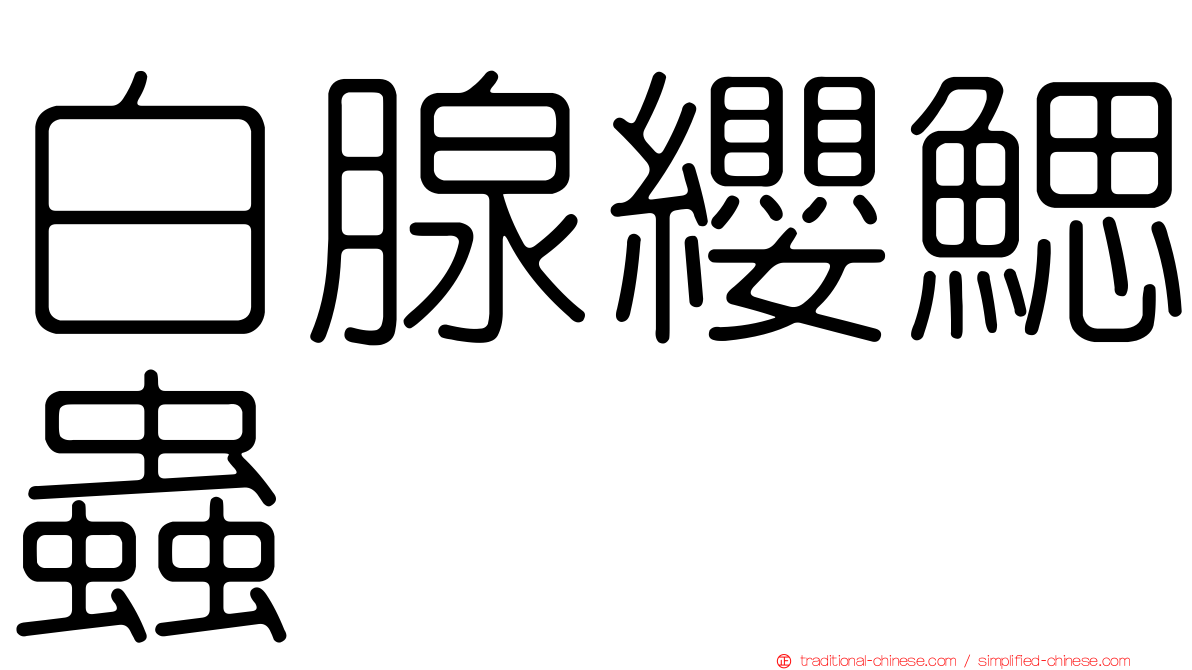 白腺纓鰓蟲