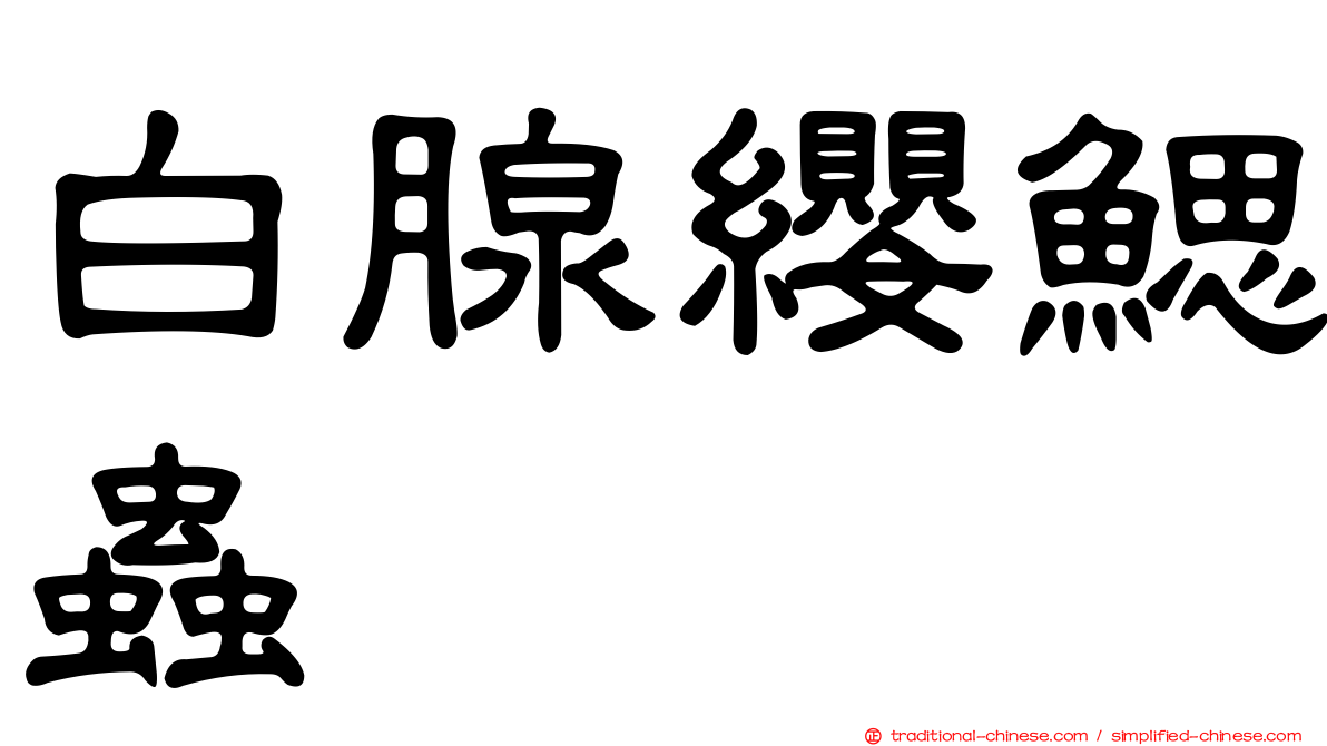 白腺纓鰓蟲