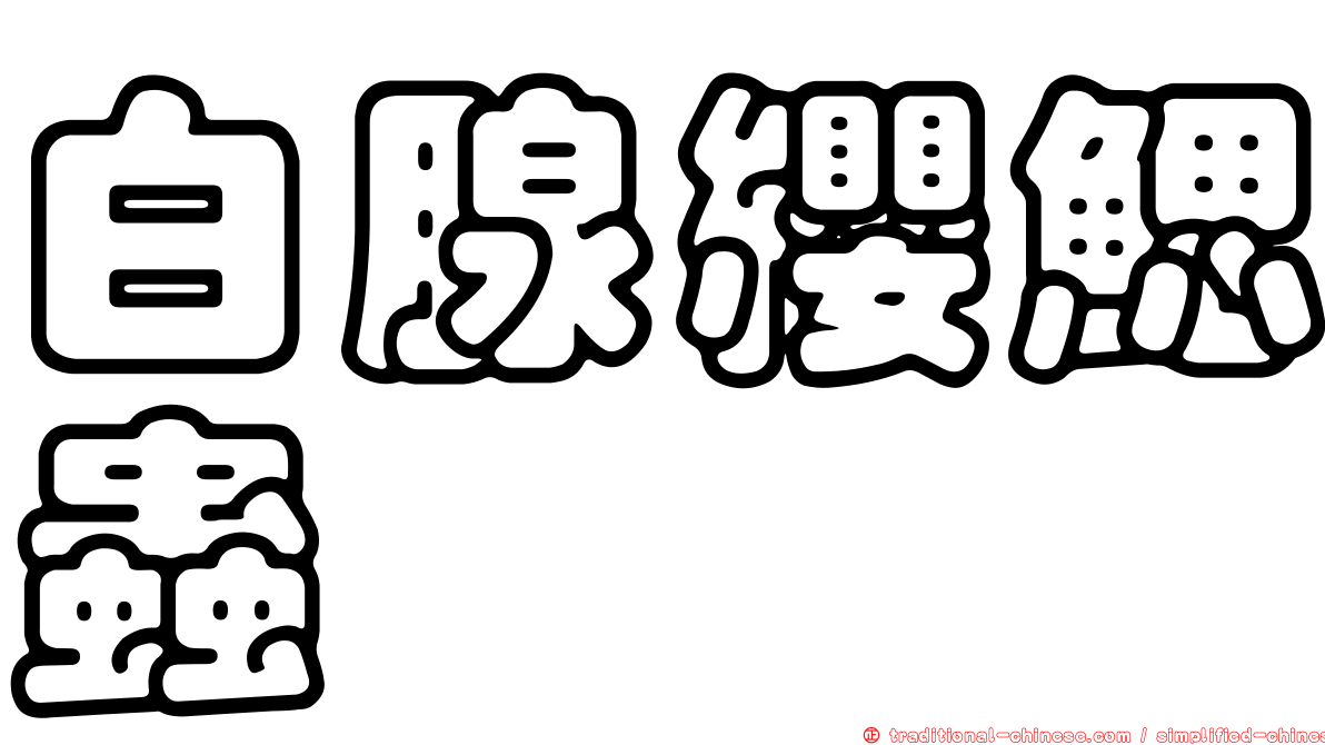 白腺纓鰓蟲