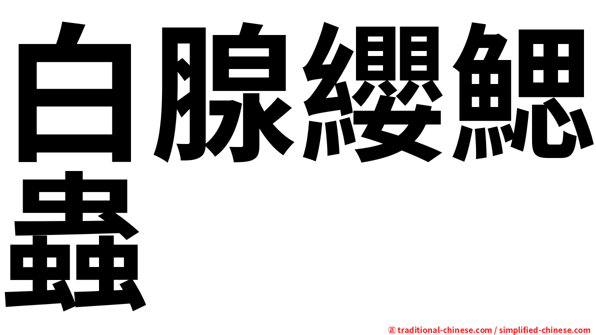 白腺纓鰓蟲