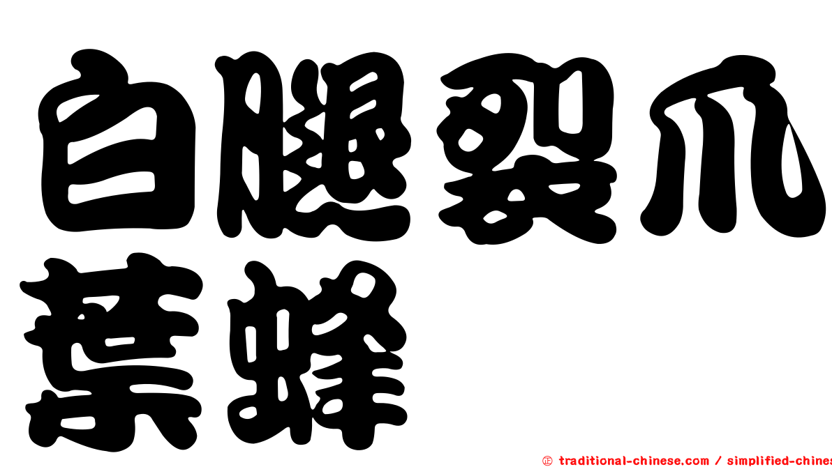 白腿裂爪葉蜂