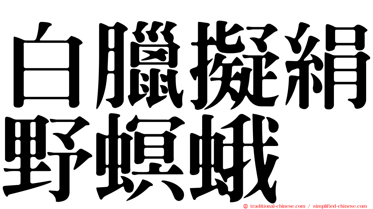 白臘擬絹野螟蛾