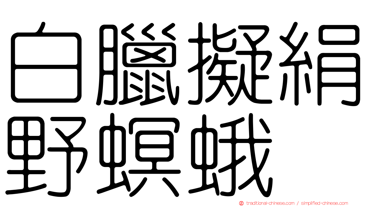 白臘擬絹野螟蛾