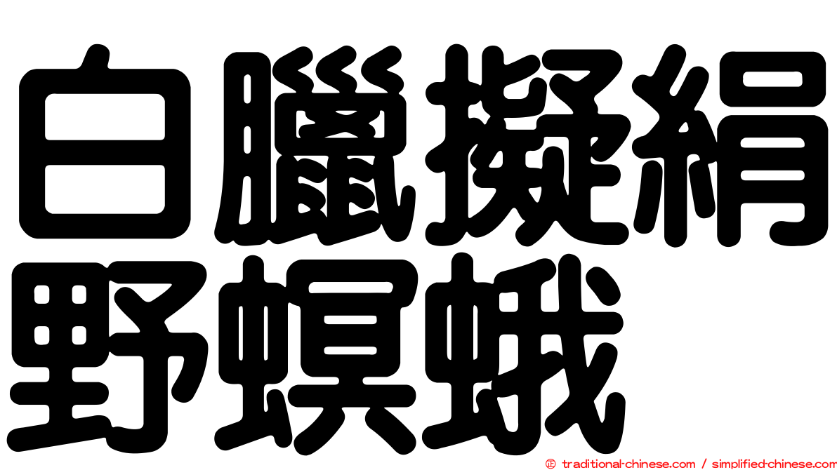 白臘擬絹野螟蛾