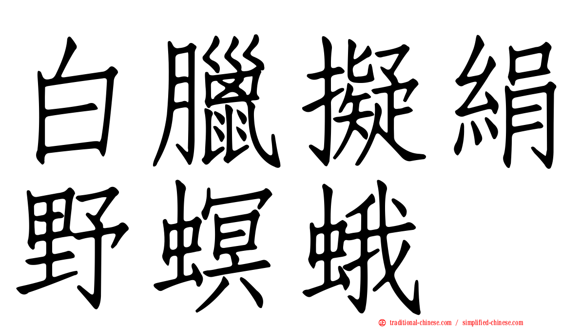 白臘擬絹野螟蛾
