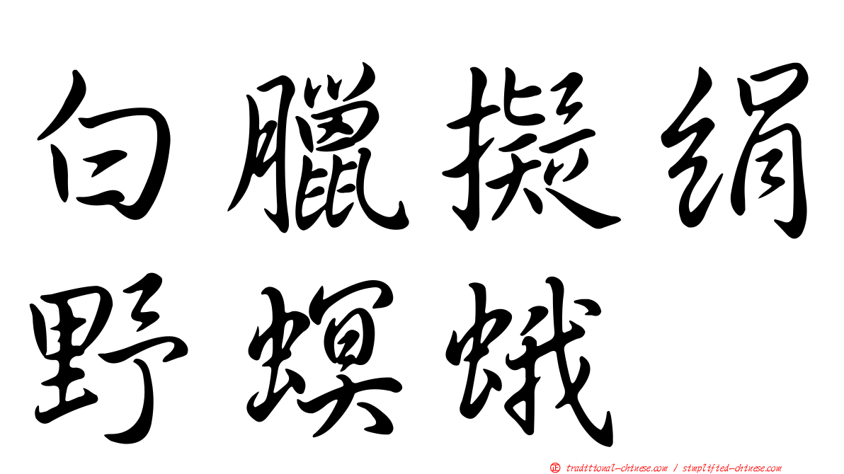 白臘擬絹野螟蛾