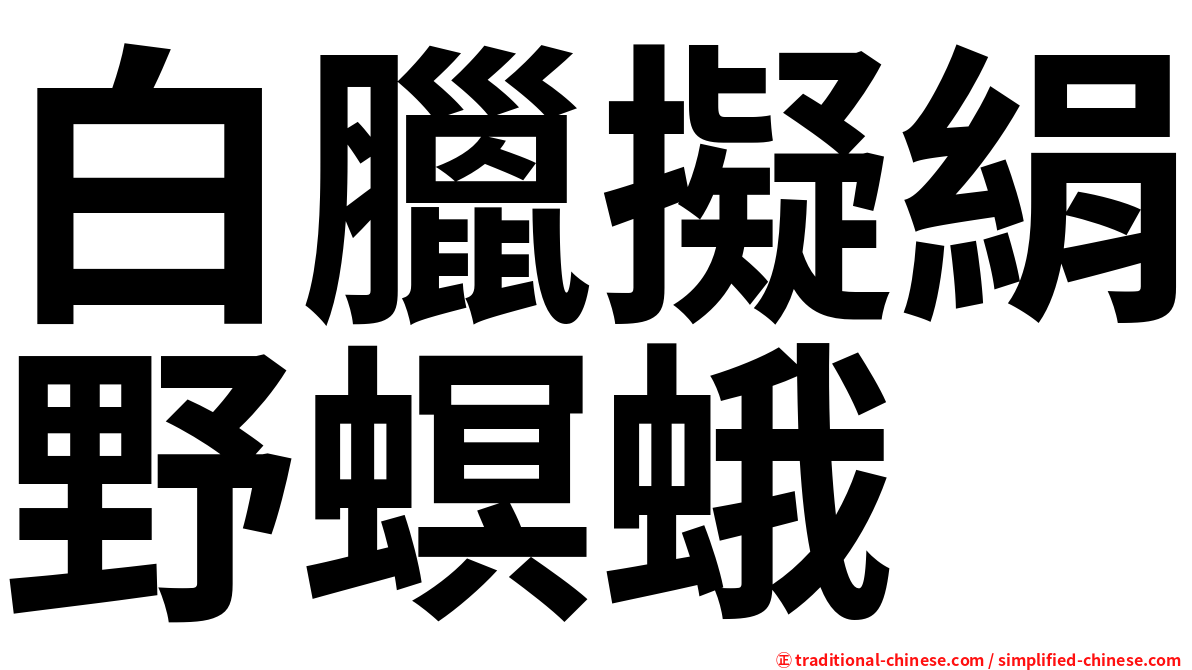 白臘擬絹野螟蛾