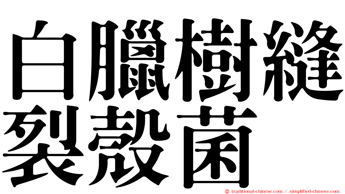 白臘樹縫裂殼菌