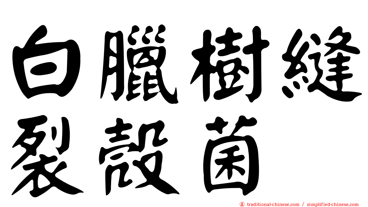 白臘樹縫裂殼菌