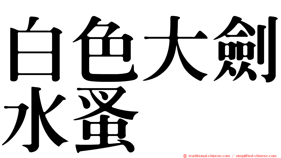 白色大劍水蚤