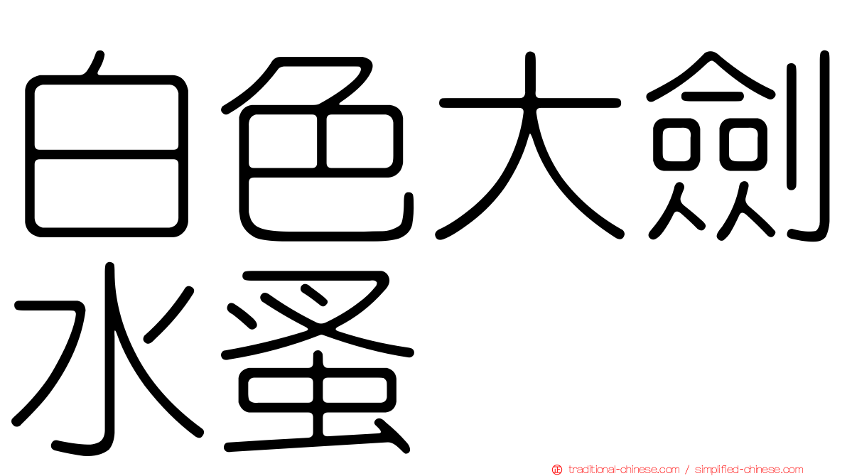 白色大劍水蚤
