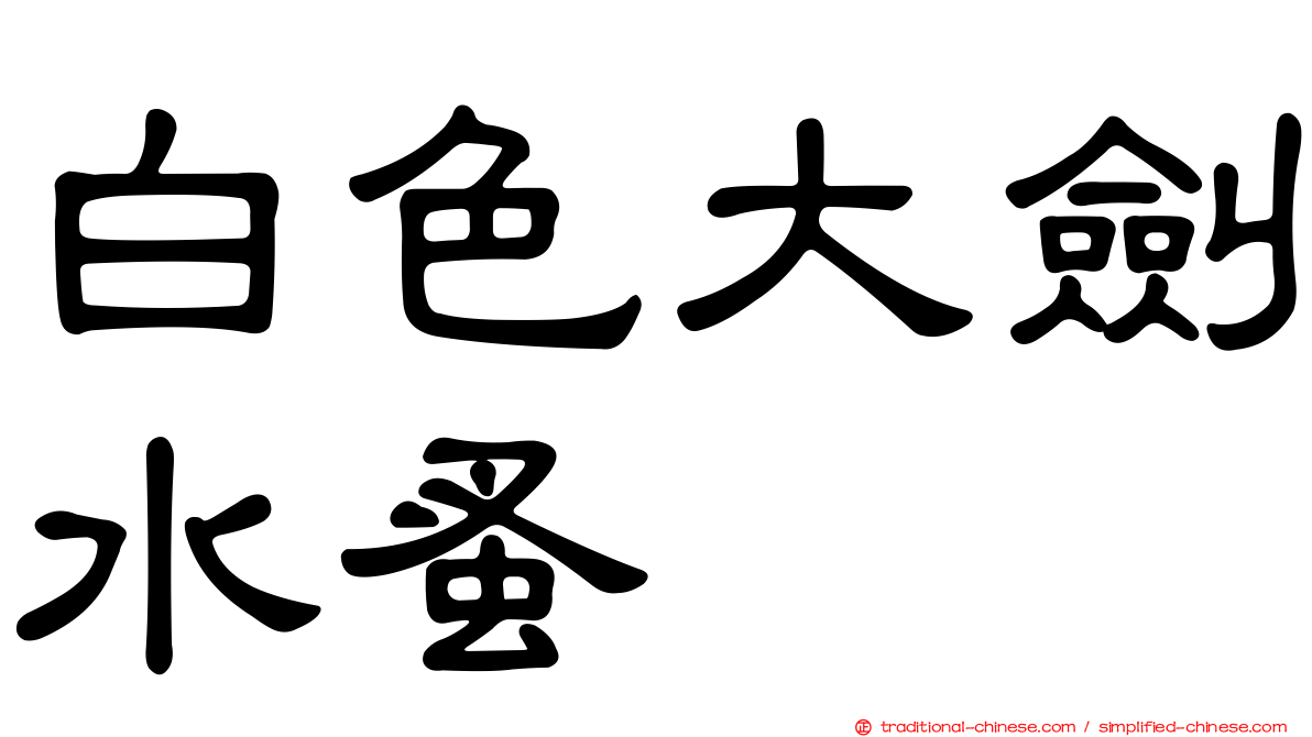白色大劍水蚤