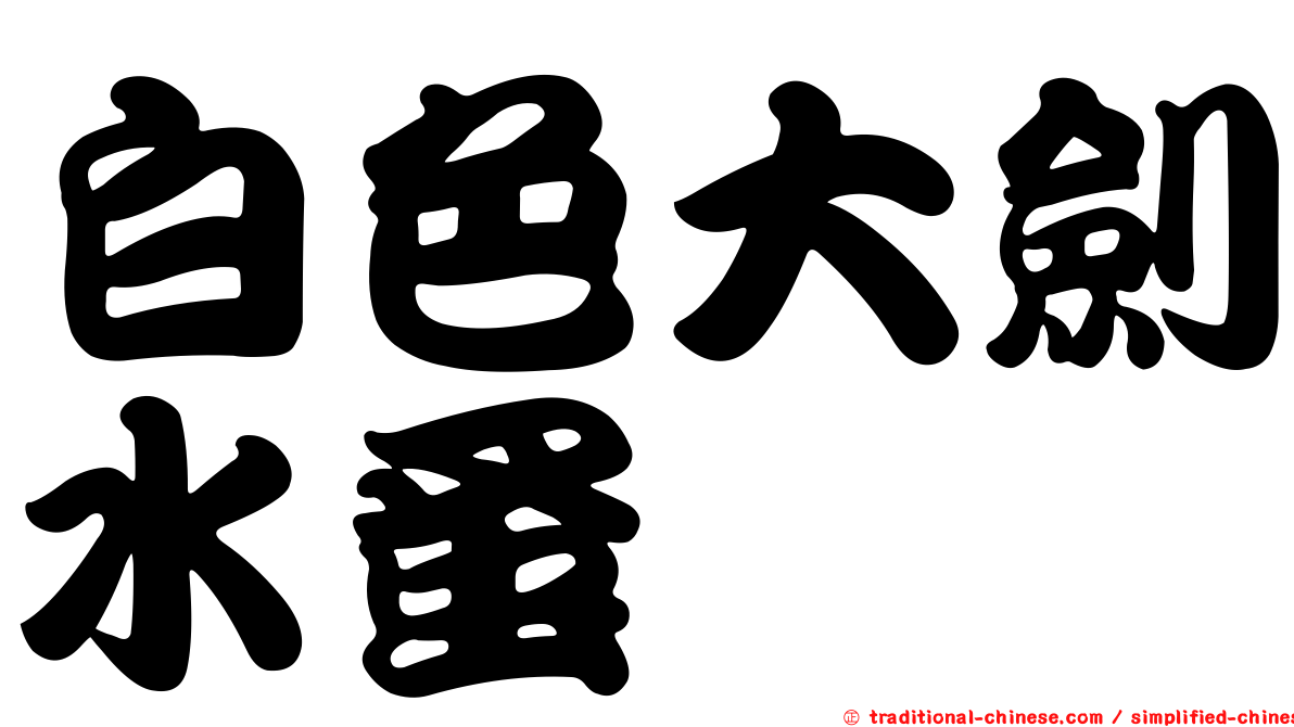 白色大劍水蚤