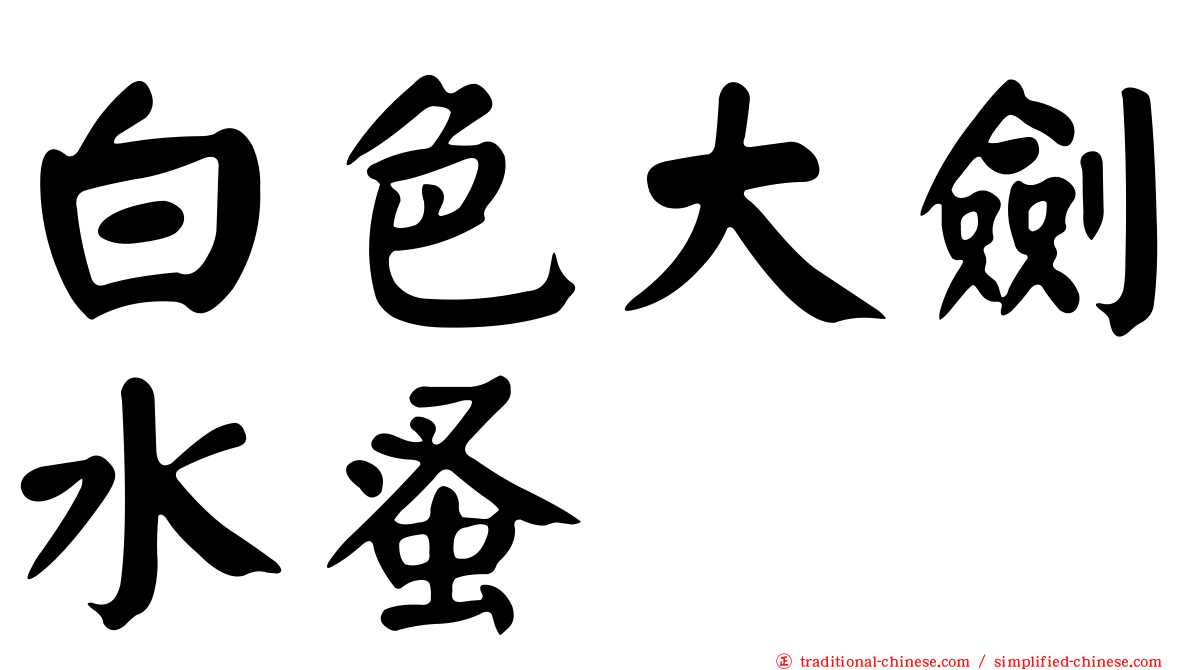 白色大劍水蚤