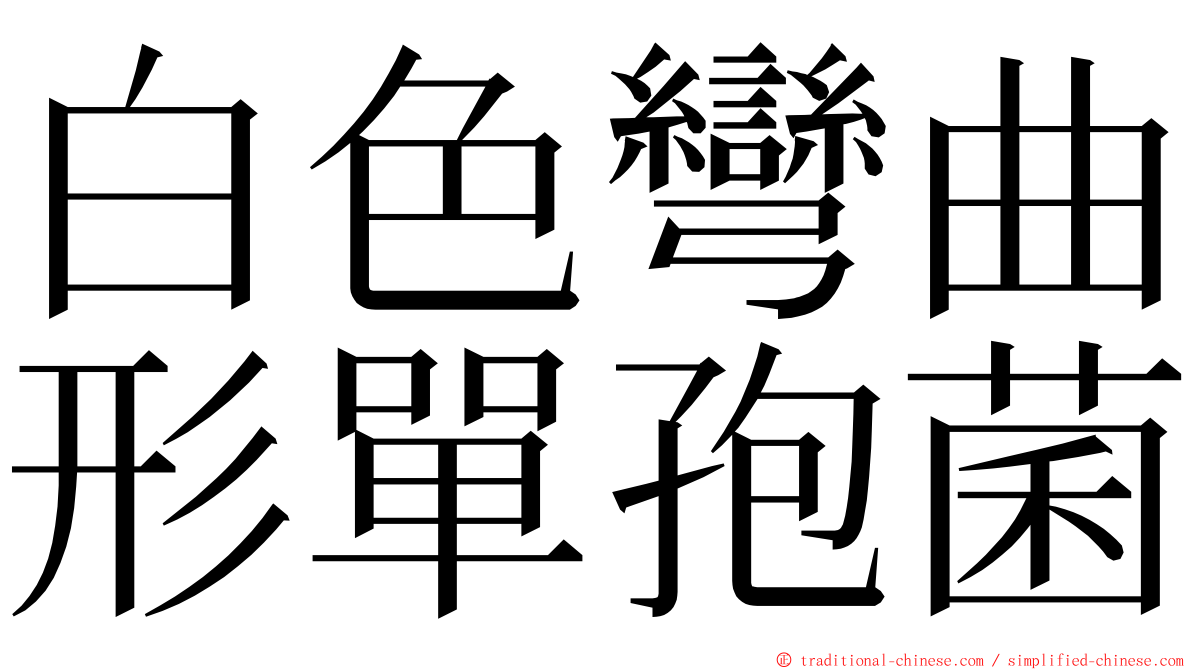 白色彎曲形單孢菌 ming font