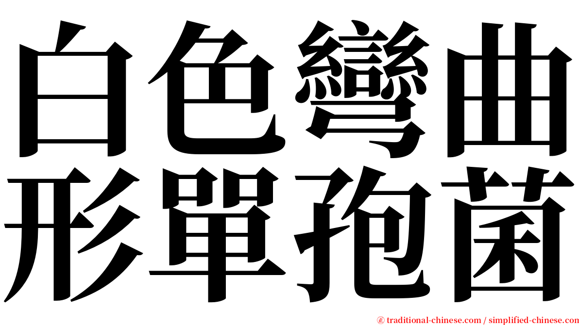 白色彎曲形單孢菌 serif font