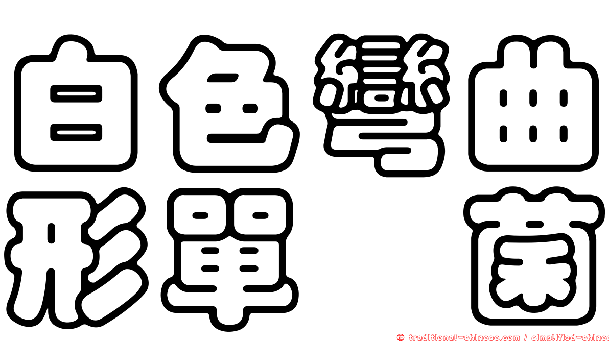 白色彎曲形單孢菌