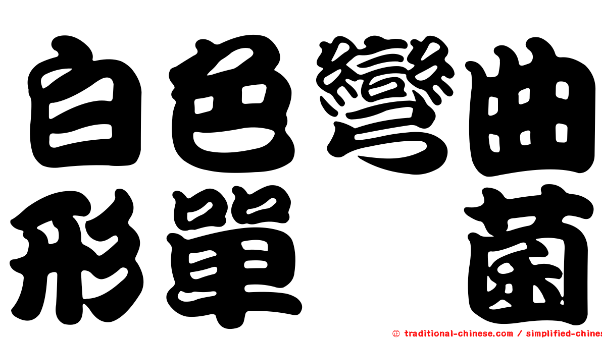 白色彎曲形單孢菌