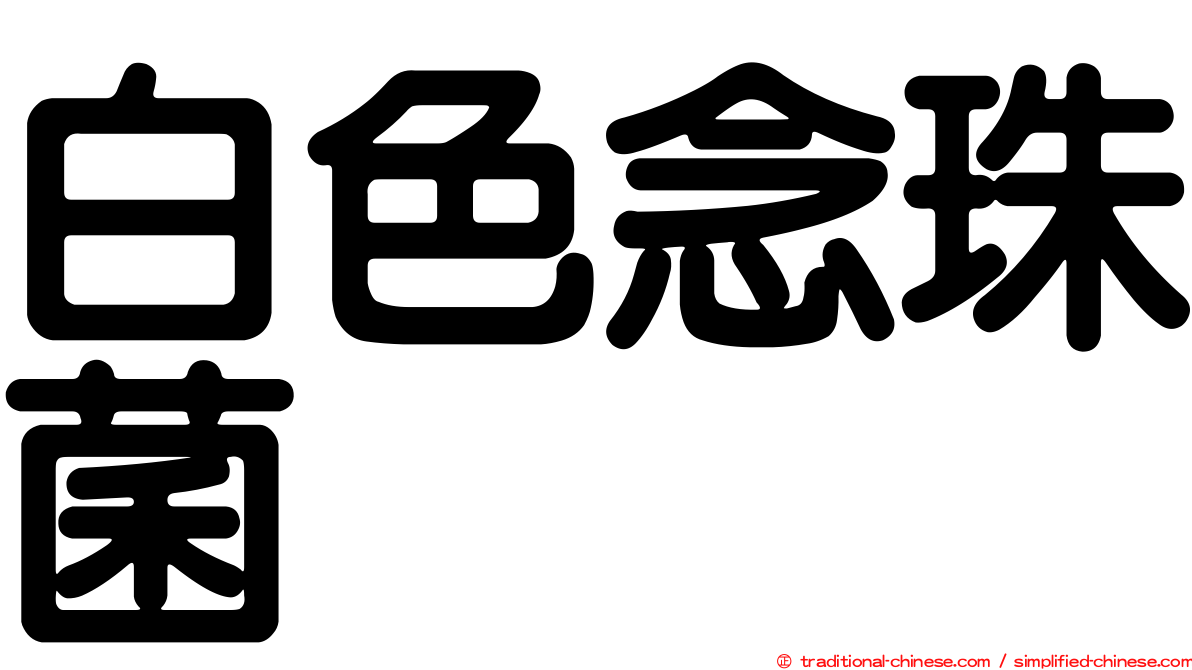 白色念珠菌