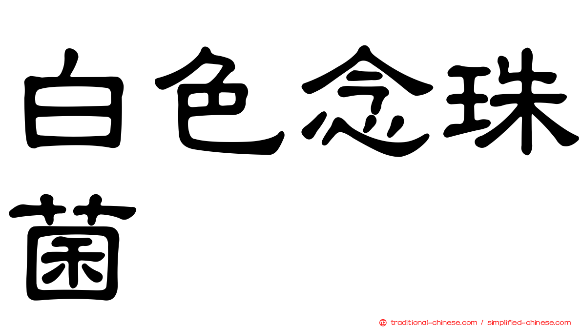白色念珠菌