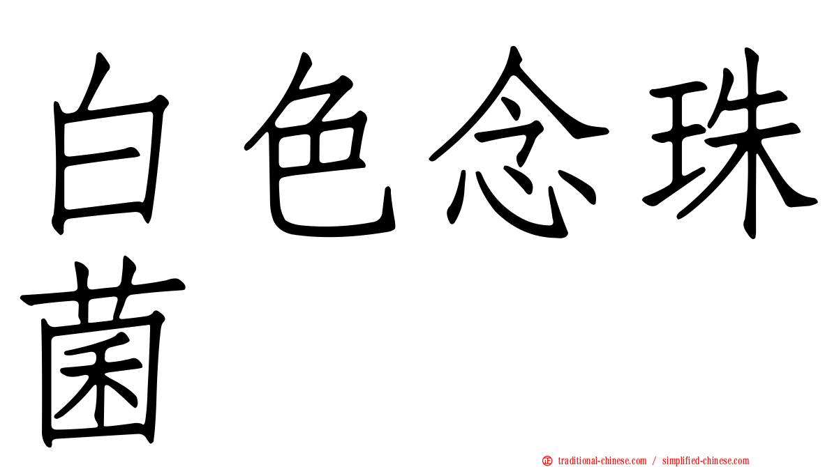 白色念珠菌