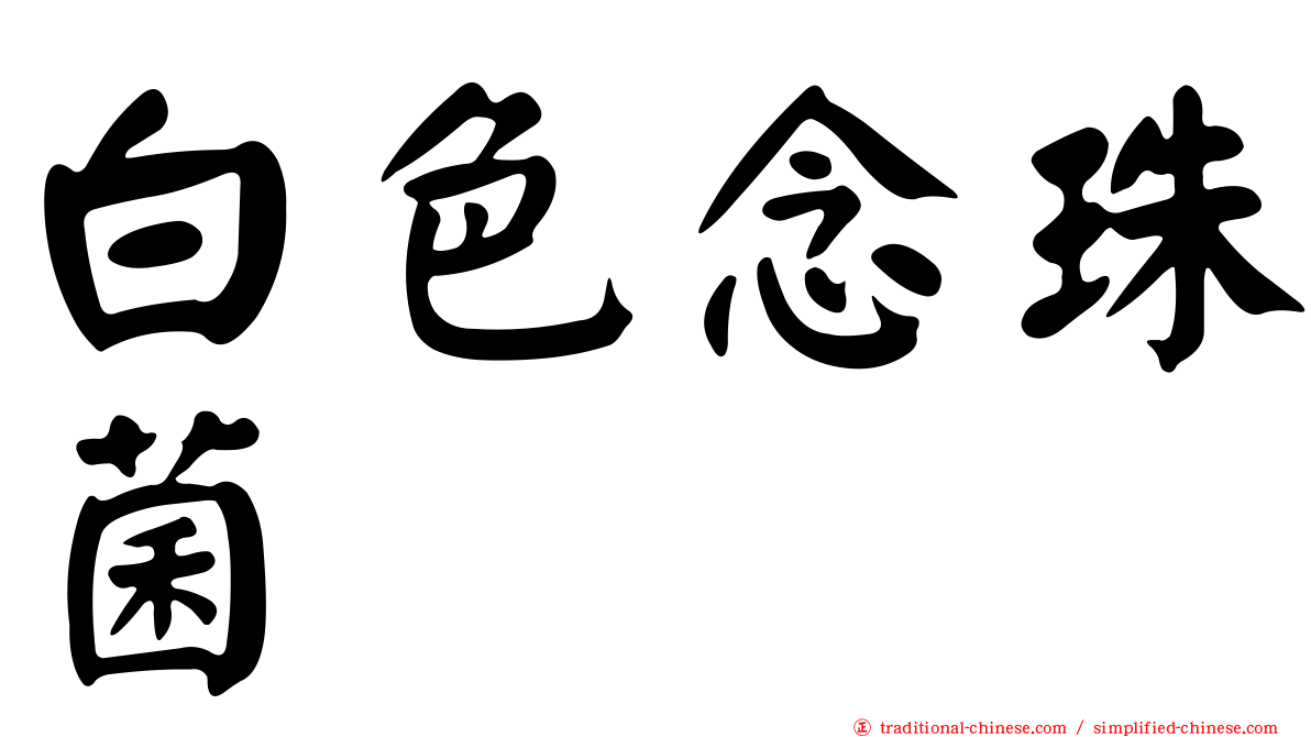 白色念珠菌
