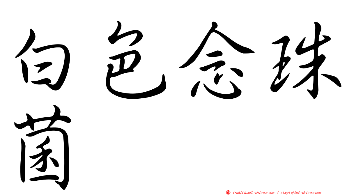 白色念珠菌