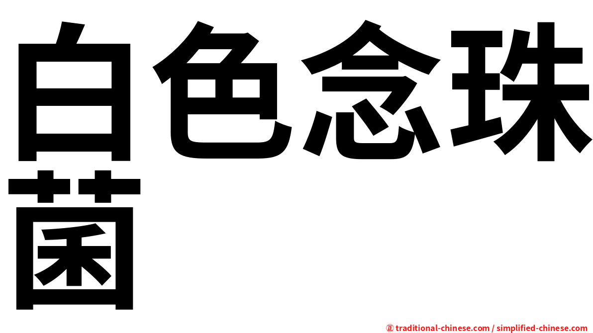 白色念珠菌