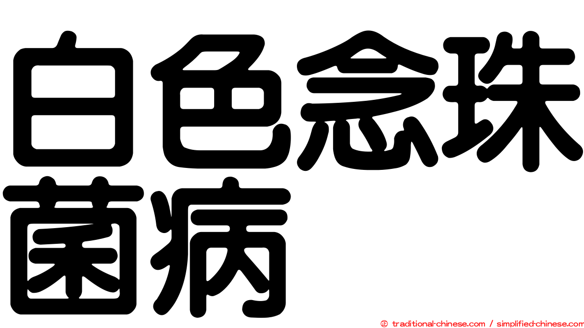 白色念珠菌病
