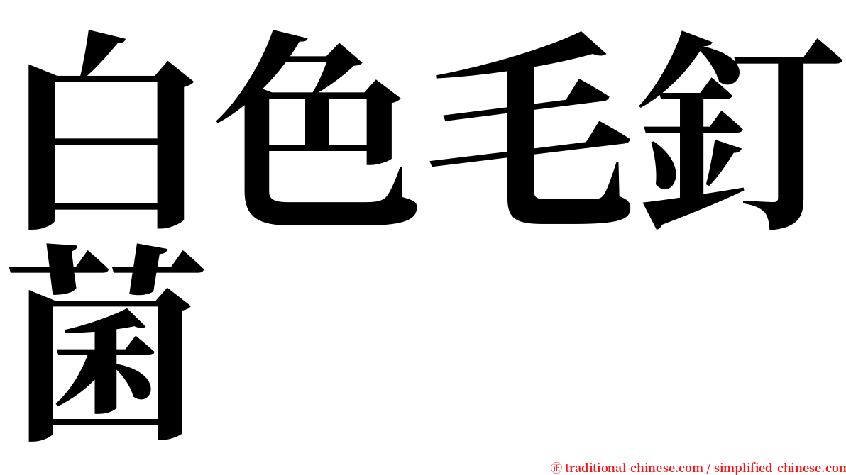 白色毛釘菌 serif font