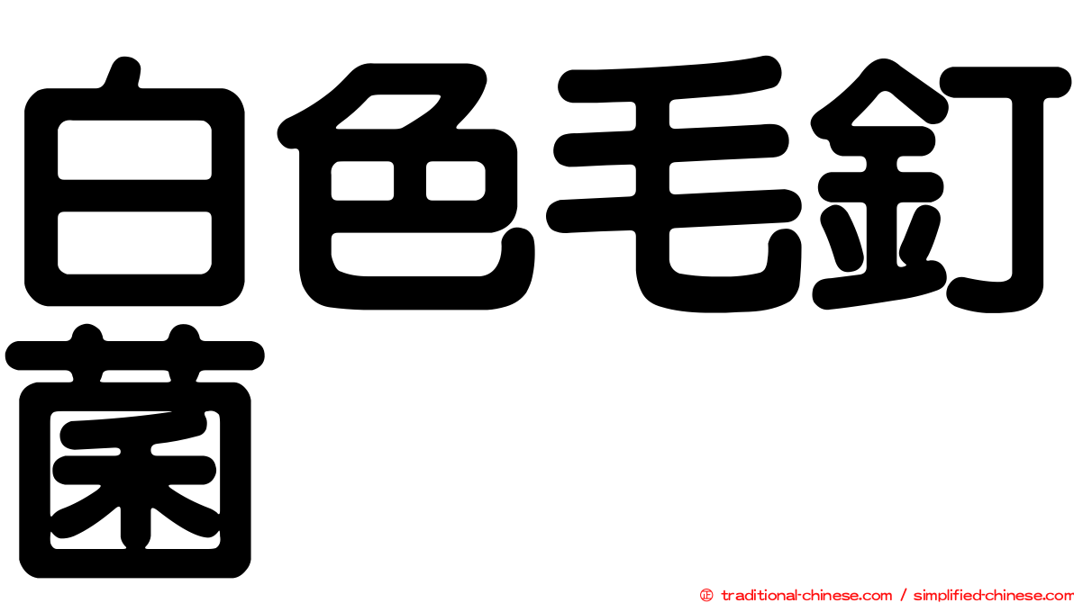 白色毛釘菌