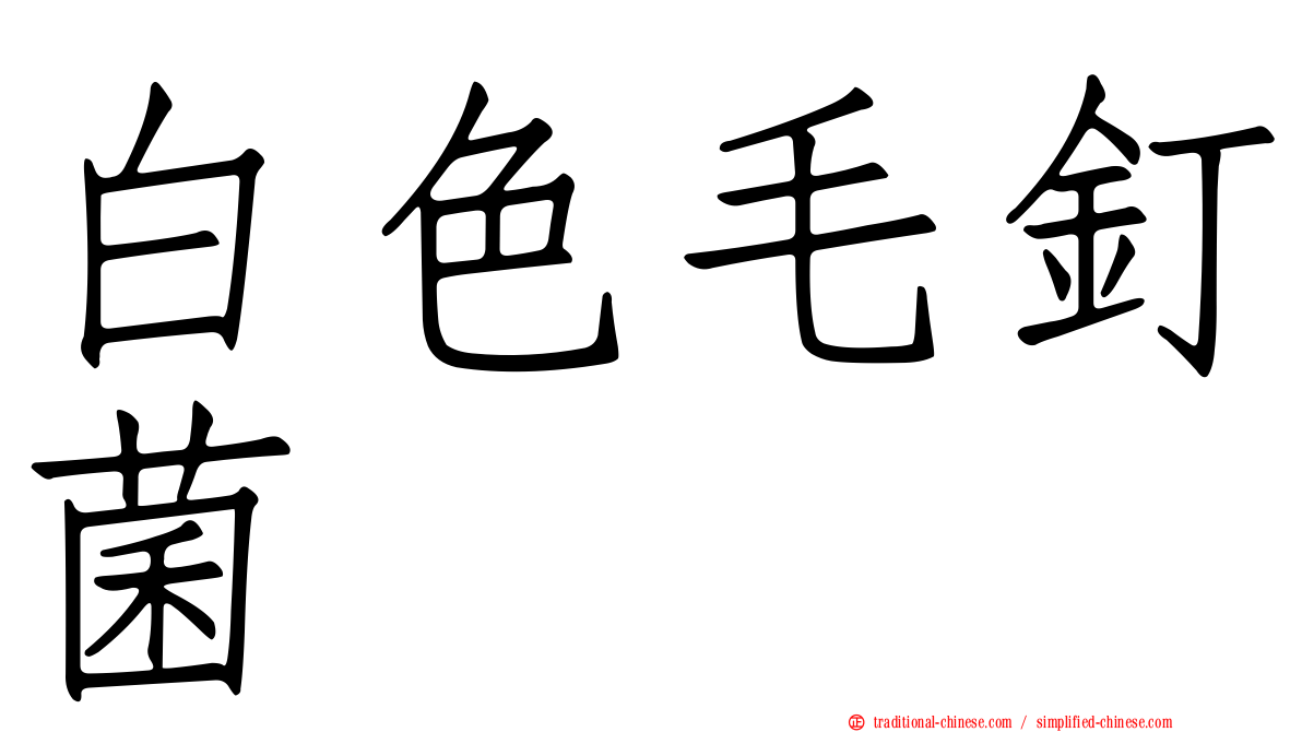 白色毛釘菌