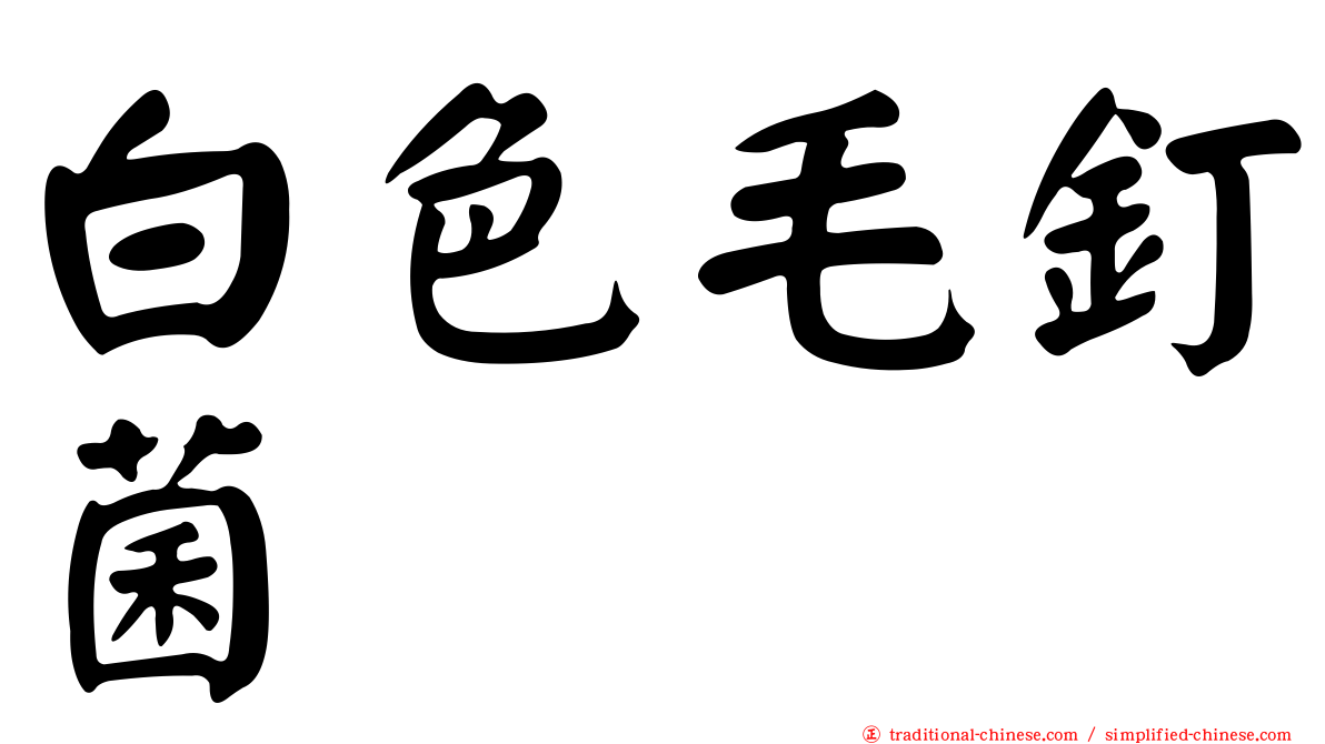 白色毛釘菌