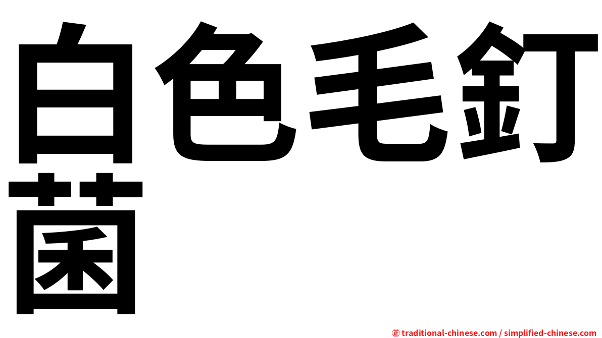 白色毛釘菌