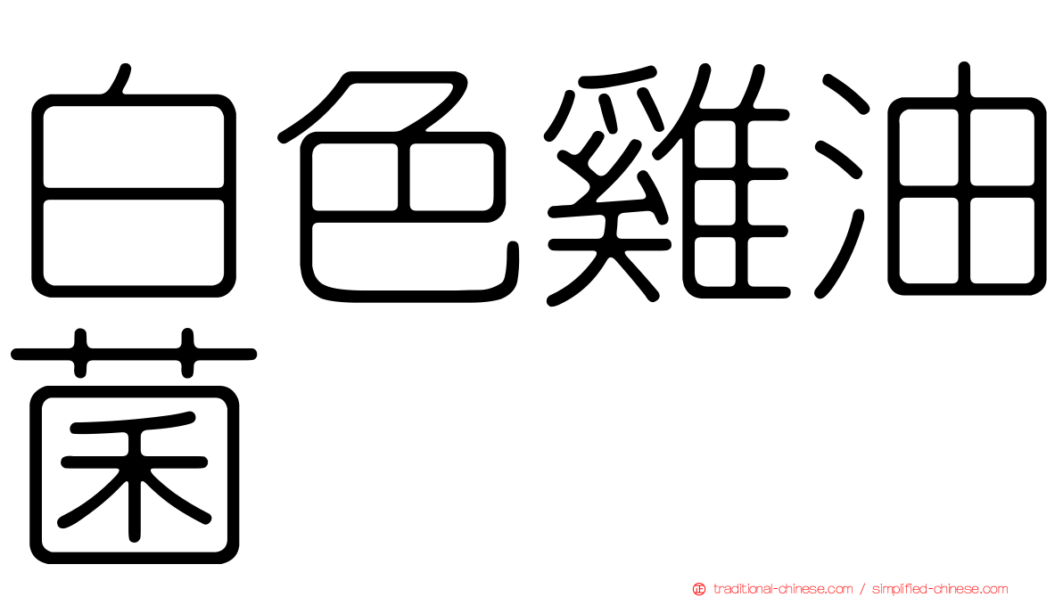 白色雞油菌