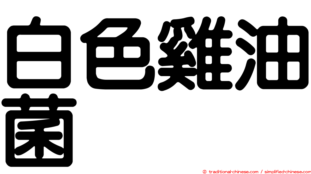 白色雞油菌