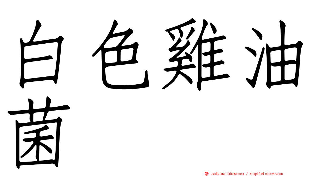 白色雞油菌