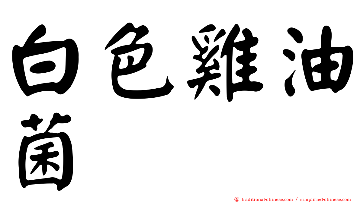 白色雞油菌