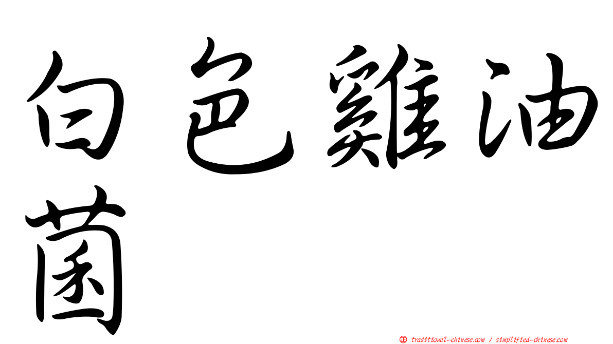 白色雞油菌