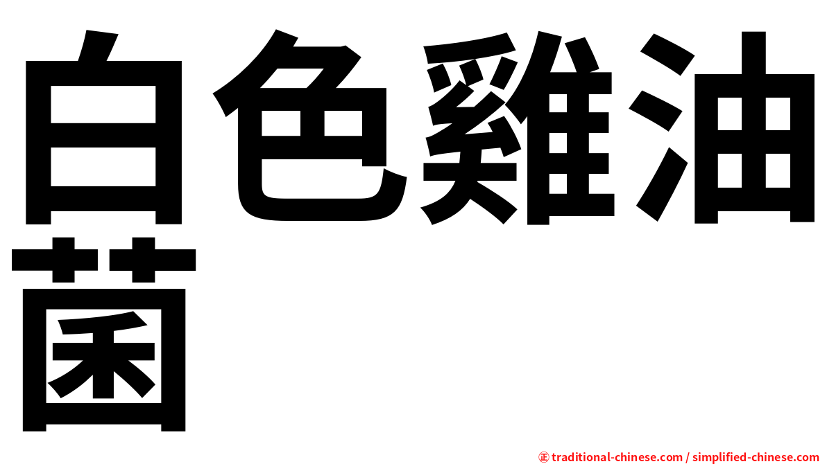 白色雞油菌
