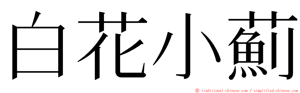 白花小薊 ming font