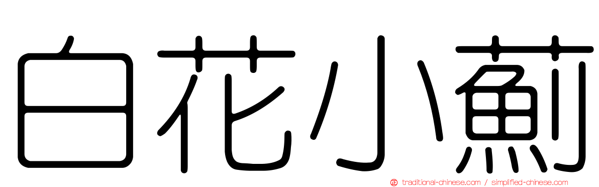 白花小薊