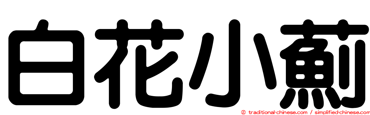 白花小薊