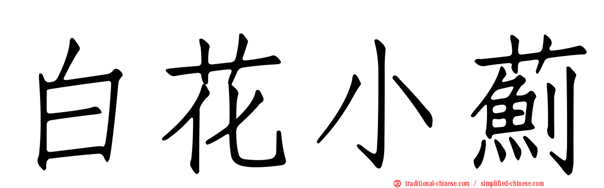 白花小薊
