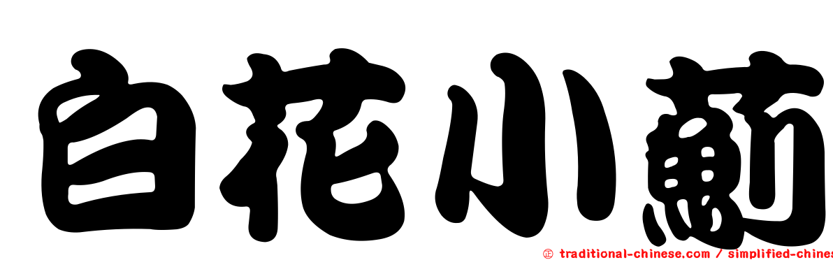 白花小薊