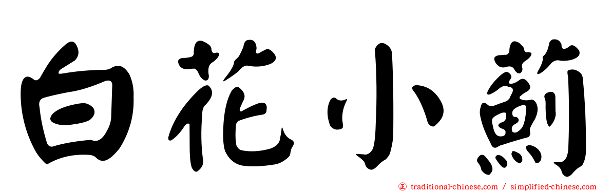 白花小薊