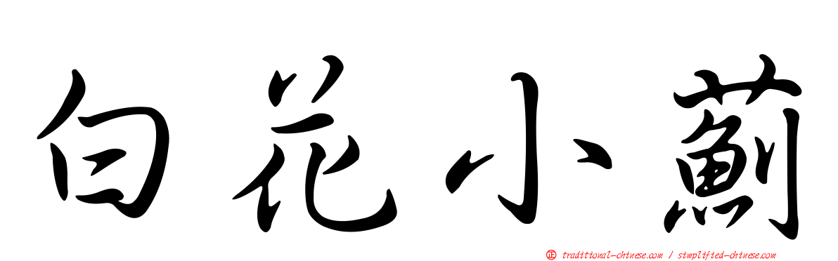 白花小薊