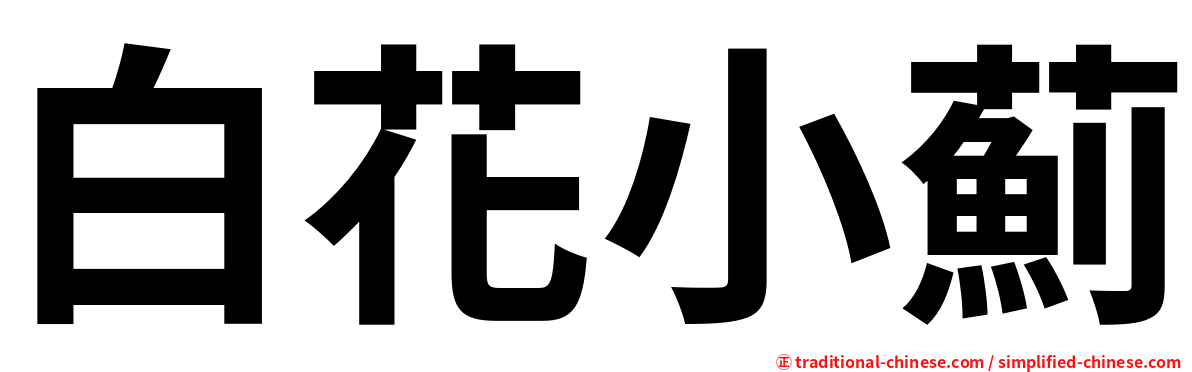 白花小薊