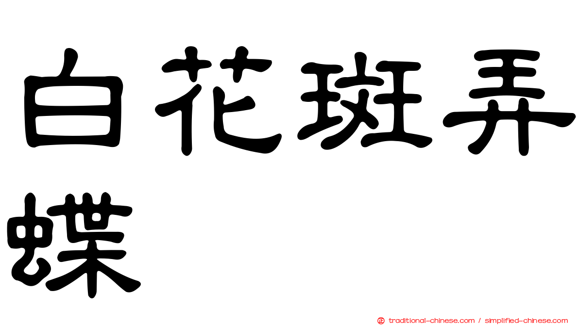 白花斑弄蝶